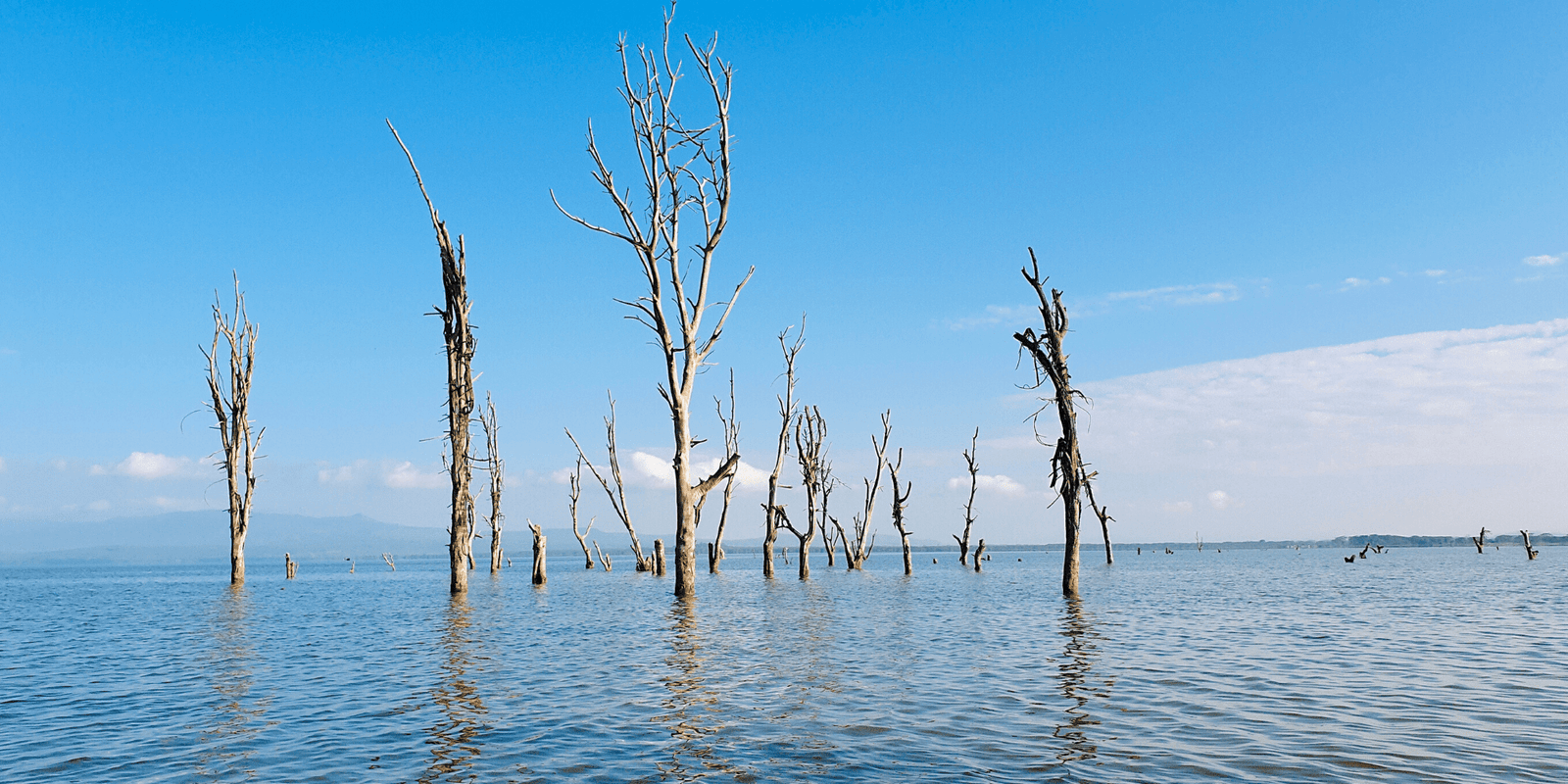 Lake Naivasha & Lake Nakuru – Two Wild Gems Of Kenya You Don’t Want To Miss Exploring