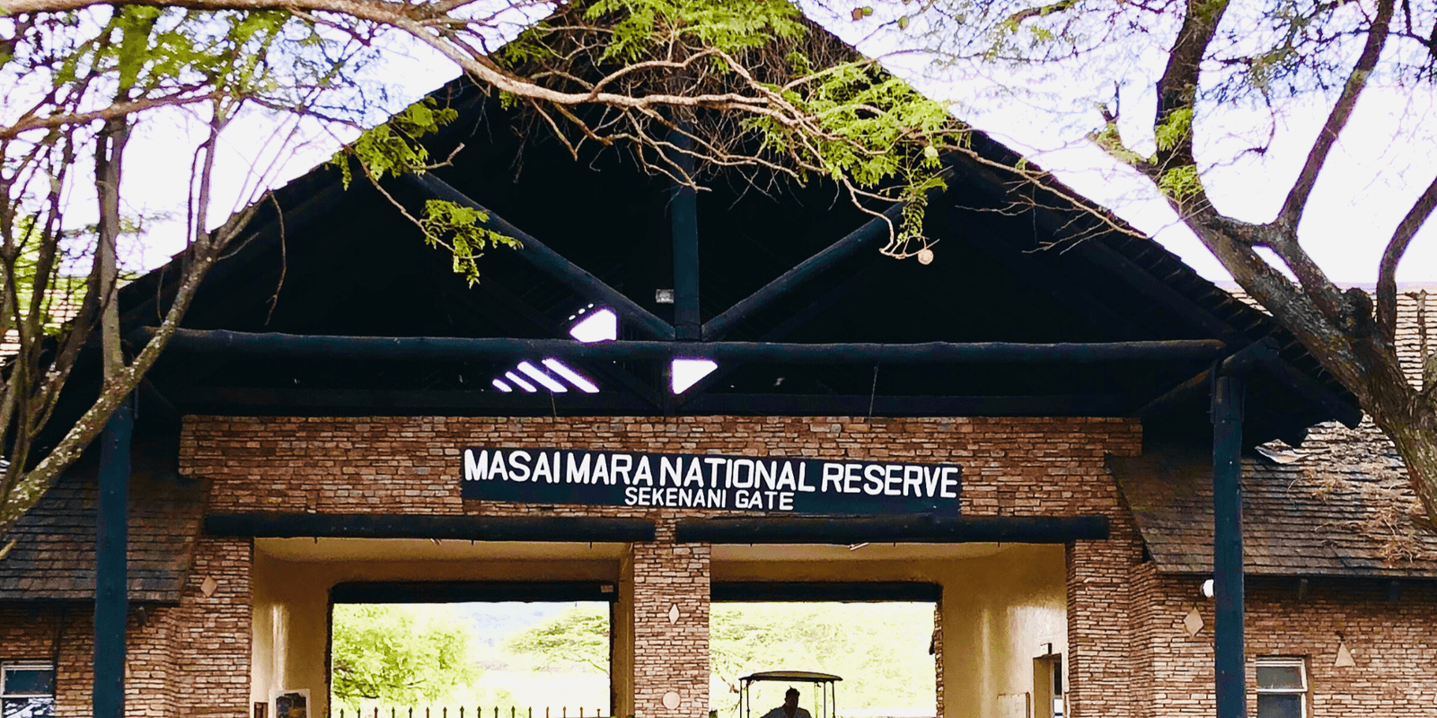 Exploring Maasai Mara National Reserve – Where The Adventure Is!